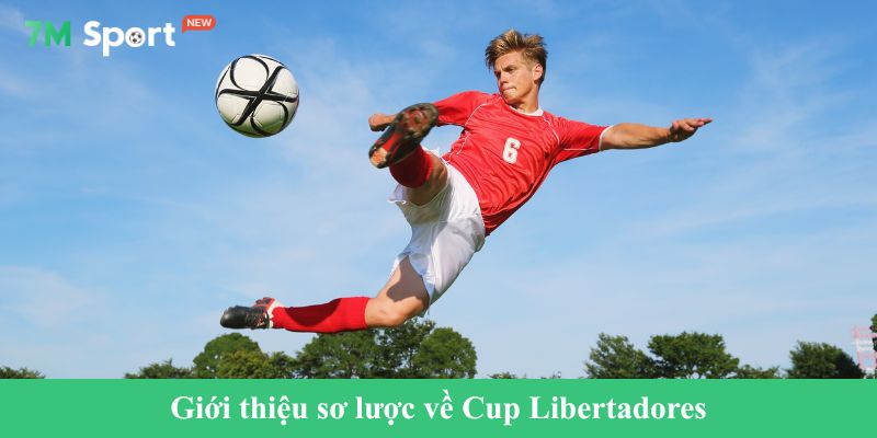 Giới thiệu sơ lược về Cup Libertadores