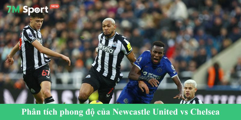 Phân tích phong độ của Newcastle United vs Chelsea
