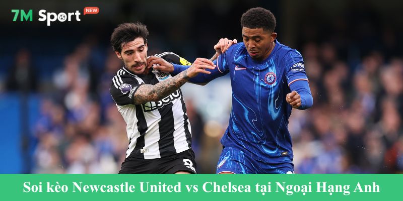 Soi kèo Newcastle United vs Chelsea tại Ngoại Hạng Anh 2025/2026