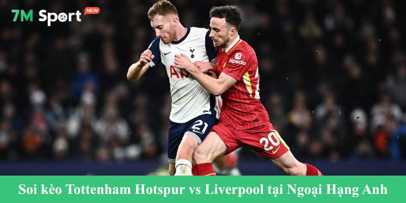 Soi kèo Tottenham Hotspur vs Liverpool tại Ngoại Hạng Anh 2025/2026